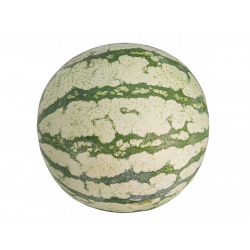 SANDIA RAYADA 6 kg